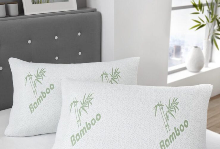 Best Bamboo Pillows